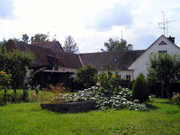 P8170194