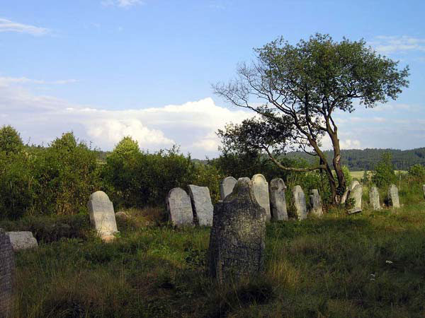 P8190408